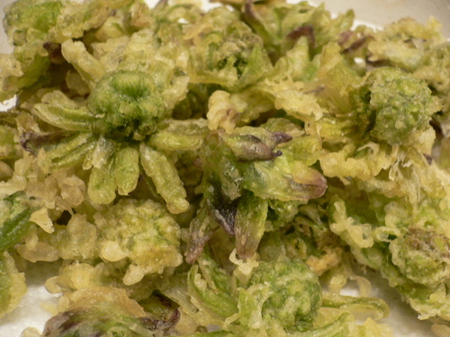 fukinotou tempra.JPG